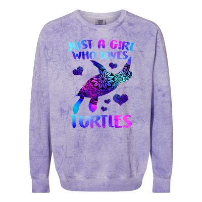 Turtle Lover Just A Girl Who Loves Turtles Turtle Watercolor Sea Ocean Colorblast Crewneck Sweatshirt