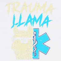 Trauma Llama K Funny Alpaca Llama Snake Garment-Dyed Sweatshirt