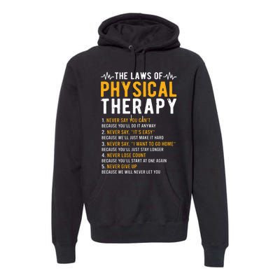 The Laws Of Physical Therapy Physical Therapist Premium Hoodie