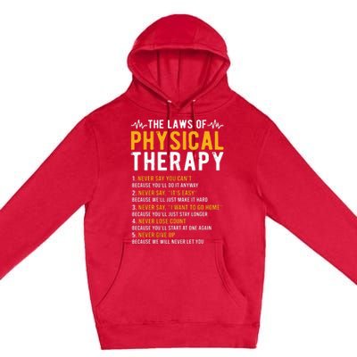 The Laws Of Physical Therapy Physical Therapist Premium Pullover Hoodie