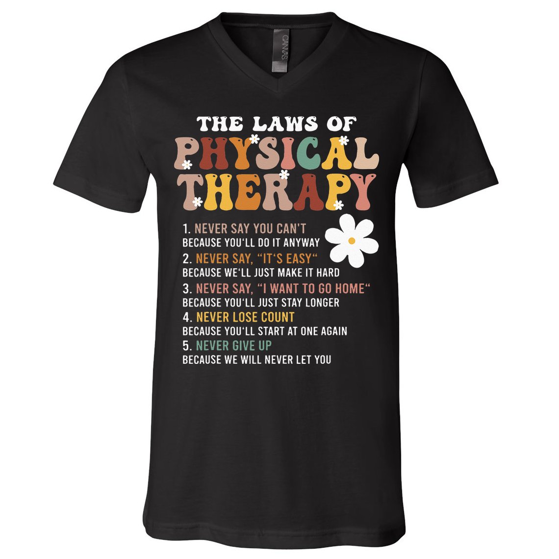 The Laws Of Physical Therapy – Physical Therapist V-Neck T-Shirt