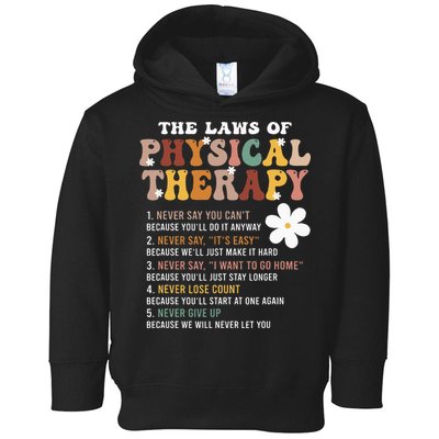 The Laws Of Physical Therapy – Physical Therapist Toddler Hoodie