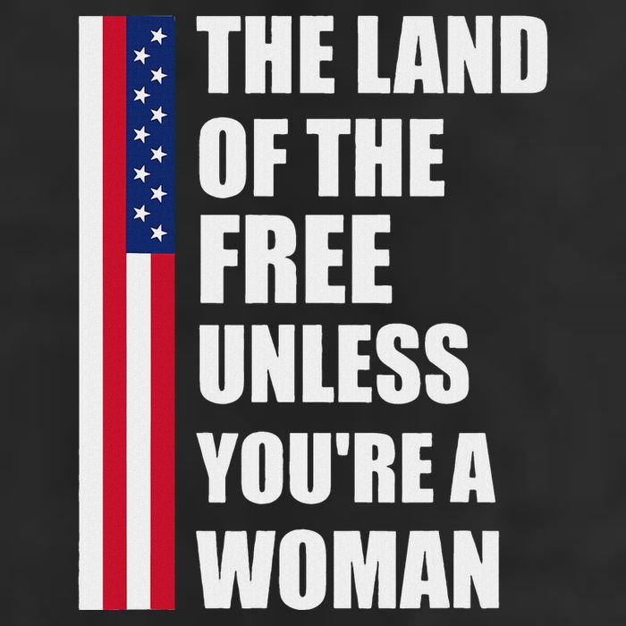 The Land Of The Free Unless YouRe A Woman Funny 7 Panel Mesh Trucker Snapback Hat