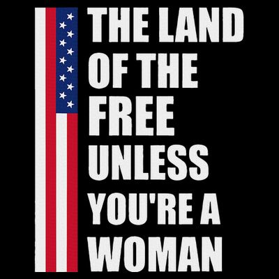 The Land Of The Free Unless YouRe A Woman Funny T-Shirt
