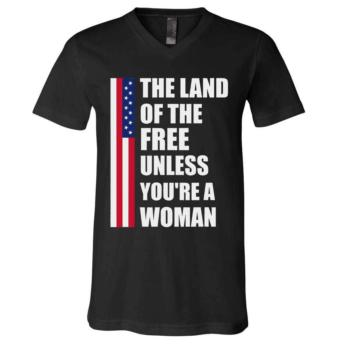 The Land Of The Free Unless YouRe A Woman Funny V-Neck T-Shirt