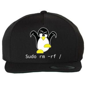 Tux Linux Penguin Sudo Rm Rf Programmer Developer Hacker Wool Snapback Cap