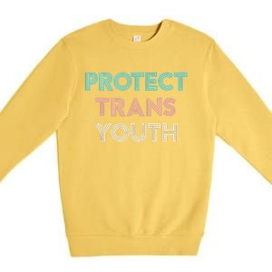 Transg Lgbt Pride Protect Transg Premium Crewneck Sweatshirt