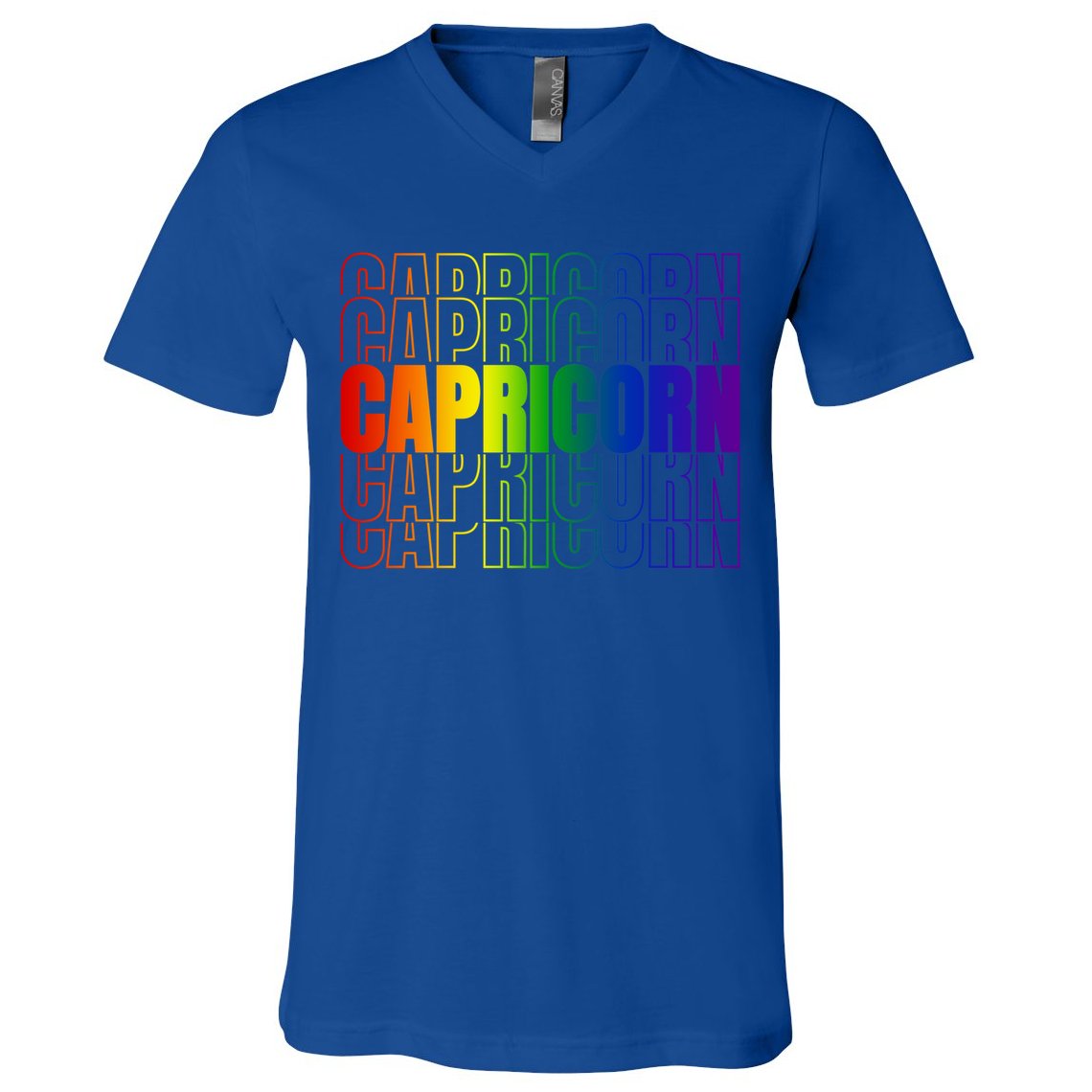 This Lgbtq Pride Zodiac Capricorn Great Gift V-Neck T-Shirt