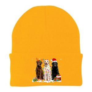 Three Labrador Retriever Xmas Labrador Retriever Lover Gift Knit Cap Winter Beanie