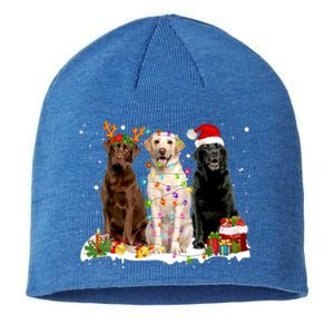 Three Labrador Retriever Xmas Labrador Retriever Lover Gift Sustainable Beanie