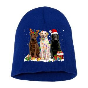 Three Labrador Retriever Xmas Labrador Retriever Lover Gift Short Acrylic Beanie