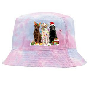 Three Labrador Retriever Xmas Labrador Retriever Lover Gift Tie-Dyed Bucket Hat