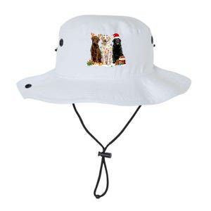 Three Labrador Retriever Xmas Labrador Retriever Lover Gift Legacy Cool Fit Booney Bucket Hat