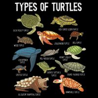 Turtle Lover Reptile Pet Turtle Types Of Turtles Cooling Performance Long Sleeve Crew