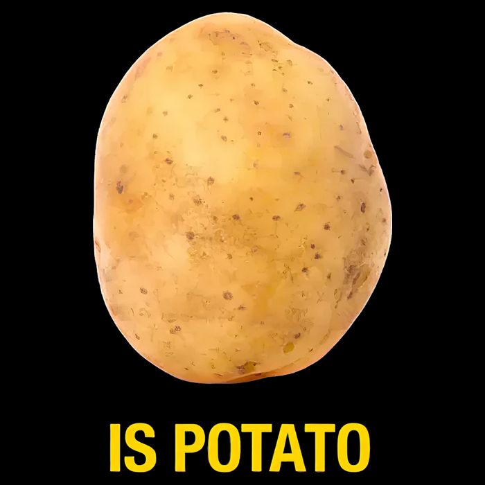 Is Potato Funny Backpack