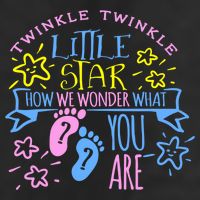 Twinkle Little Star How We Wonder What You Are Gender Reveal Gift Adult Drive Performance Visor