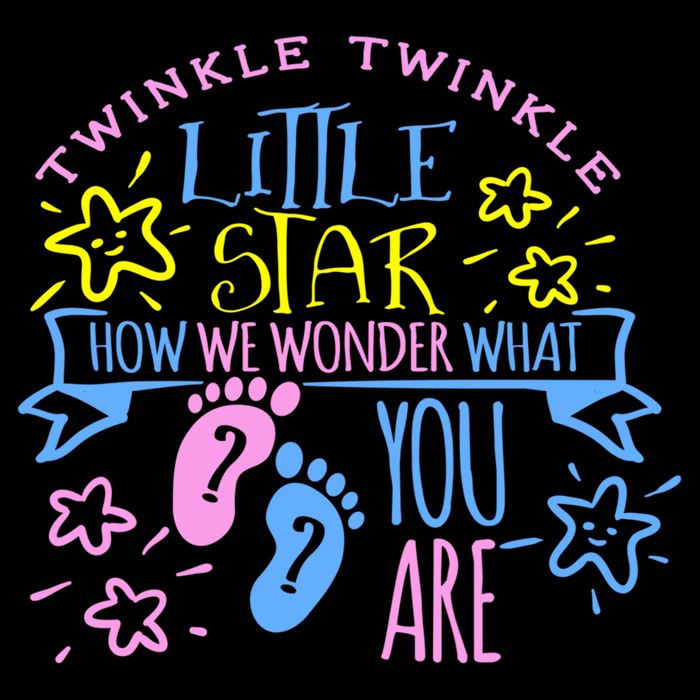 Twinkle Little Star How We Wonder What You Are Gender Reveal Gift Mug