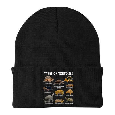 Tortoise Lover Types Of Tortoises Beanie