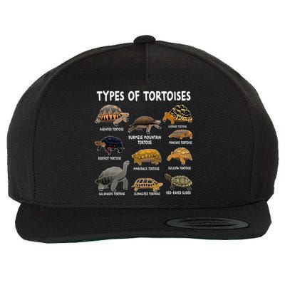 Tortoise Lover Types Of Tortoises Wool Snapback Cap