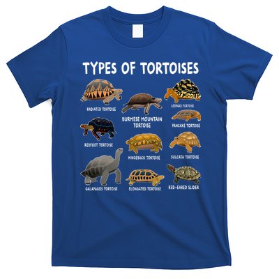 Tortoise Lover Types Of Tortoises T-Shirt