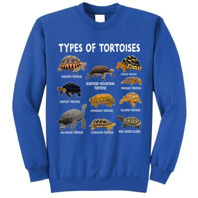 Tortoise Lover Types Of Tortoises Tall Sweatshirt