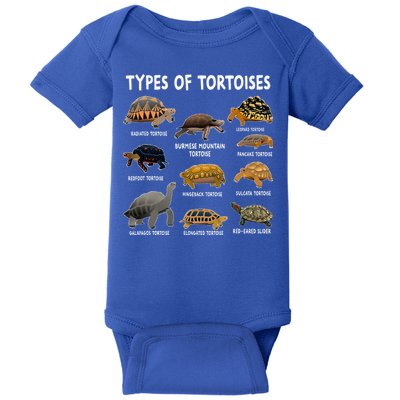 Tortoise Lover Types Of Tortoises Baby Bodysuit