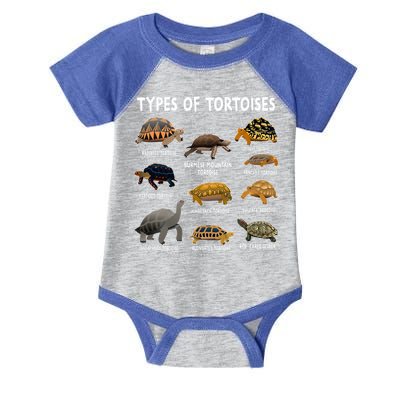 Tortoise Lover Types Of Tortoises Infant Baby Jersey Bodysuit