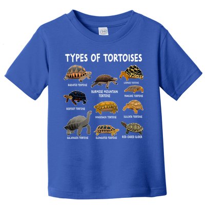 Tortoise Lover Types Of Tortoises Toddler T-Shirt