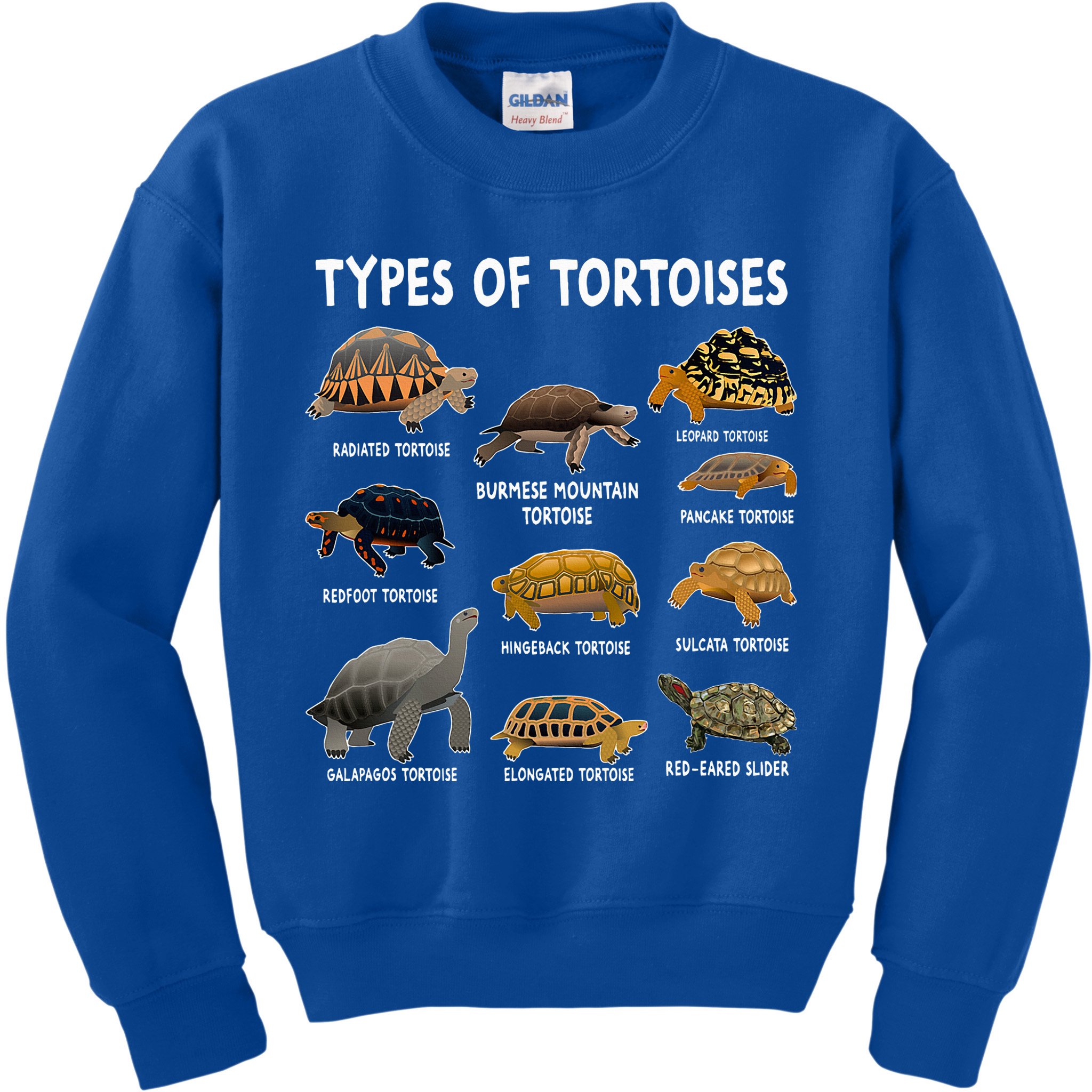 Tortoise Lover Types Of Tortoises Kids Sweatshirt