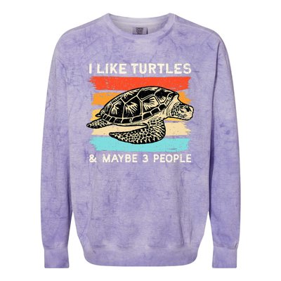 Turtle Lover, Turtle Art, Types Turtle, Turtle  Colorblast Crewneck Sweatshirt