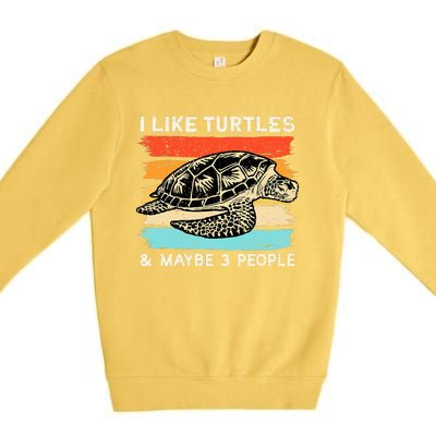 Turtle Lover, Turtle Art, Types Turtle, Turtle  Premium Crewneck Sweatshirt