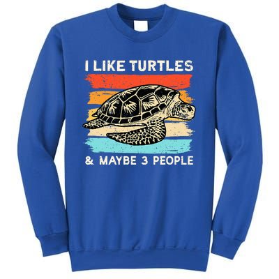 Turtle Lover, Turtle Art, Types Turtle, Turtle  Sweatshirt