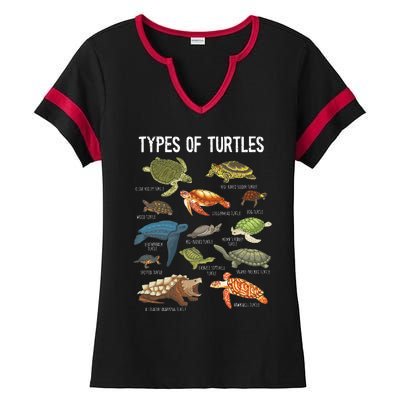 Turtle Lover Turtle Art Types Turtle Turtle Ladies Halftime Notch Neck Tee