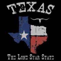 Texas Longhorn The Lone Star State DonT Mess With Flat Bill Trucker Hat