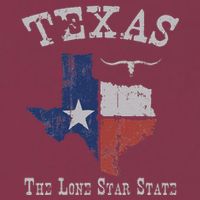 Texas Longhorn The Lone Star State DonT Mess With 16oz Travel Tumbler