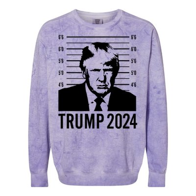 Trump Mugshot 2024 President Colorblast Crewneck Sweatshirt