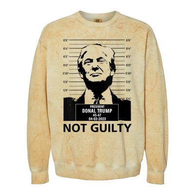 Trump Mugshot 2024 President Trump Not Guilty Colorblast Crewneck Sweatshirt