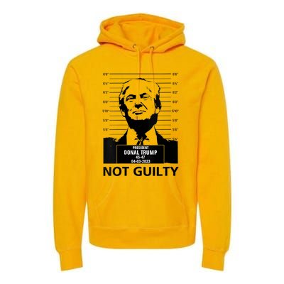 Trump Mugshot 2024 President Trump Not Guilty Premium Hoodie