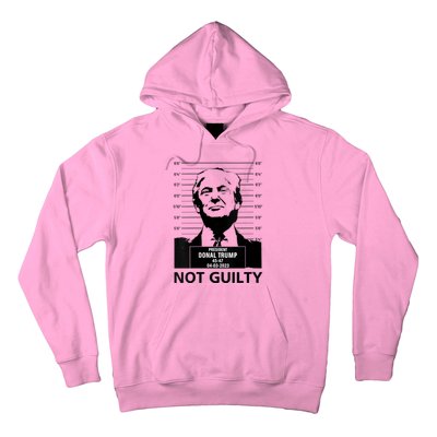 Trump Mugshot 2024 President Trump Not Guilty Hoodie