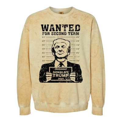 Trump Mugshot 2024 President Wanted For Second Term Colorblast Crewneck Sweatshirt