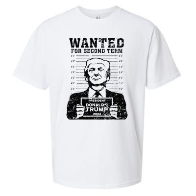 Trump Mugshot 2024 President Wanted For Second Term Sueded Cloud Jersey T-Shirt