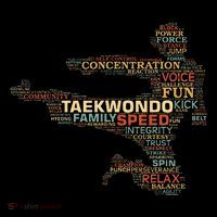 Taekwondo Martial Arts Fighter Tae Kwon Do Words Kicking Kids Hoodie