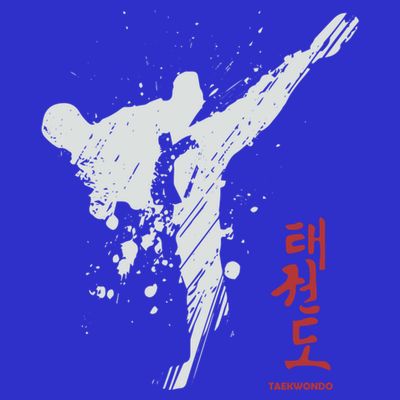 Taekwondo Martial Arts Tkd Gift T-Shirt