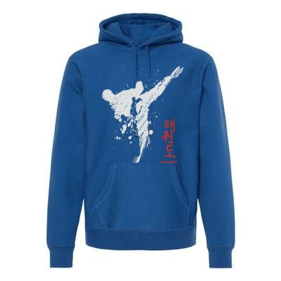 Taekwondo Martial Arts Tkd Gift Premium Hoodie