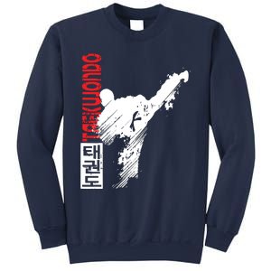 Taekwondo Martial Art Distressed Style Kick Tee Sweatshirt