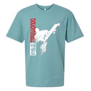 Taekwondo Martial Art Distressed Style Kick Tee Sueded Cloud Jersey T-Shirt