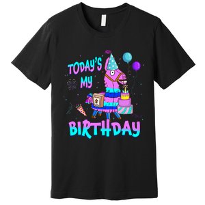 Todays My Birthday Llama Boy Girl Family Party Decorations Premium T-Shirt