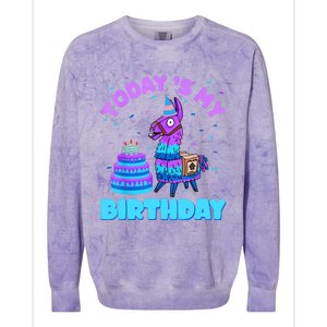 Todays My Birthday Llama Birthday Party Decorations Colorblast Crewneck Sweatshirt