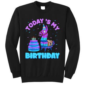 Todays My Birthday Llama Birthday Party Decorations Sweatshirt