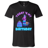 Todays My Birthday Llama Birthday Party Decorations V-Neck T-Shirt